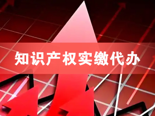 锡林郭勒知识产权实缴资本代办